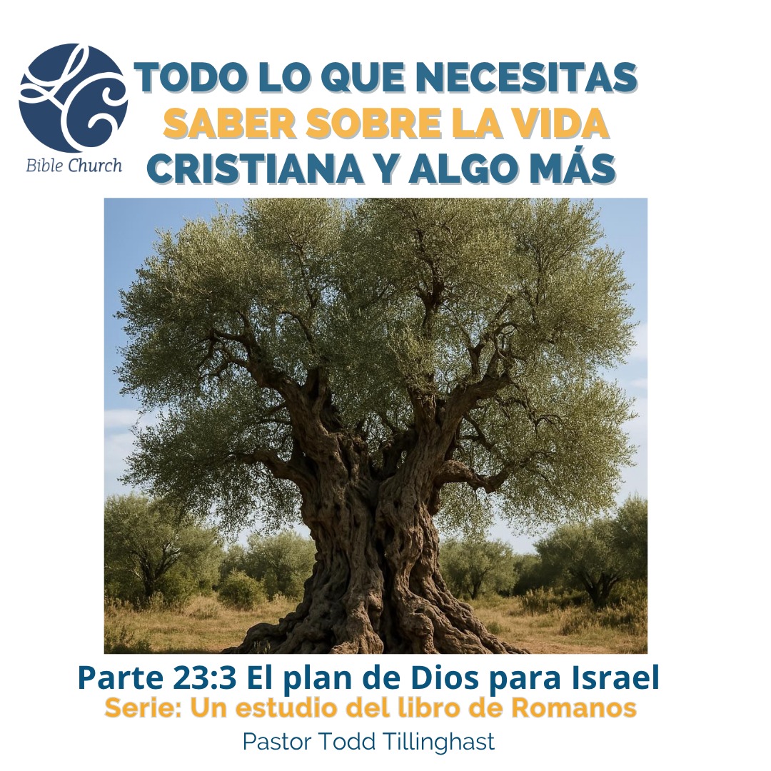 El proceso de crecimiento de un árbol de olivo toma miles y miles de años. En Romanos 11:17, Pablo enseña como Dios toma los olivos silvestres, que somos nosotros, y los injerta en el olivo principal, que es la nación de Israel.
Israel juega un papel clave en el plan de salvación de Dios. De ella salieron los profetas y el Mesías Jesucristo, nuestro Salvador. Pero el propósito de Dios no incluye solo a Israel, sino que se extiende a todas las naciones, a través del sacrificio de Jesús, que es el único camino, la verdad y la vida. Juan 14:6.
#lacomunidadbc #iglesiacristianaenpanama #romanos #israel