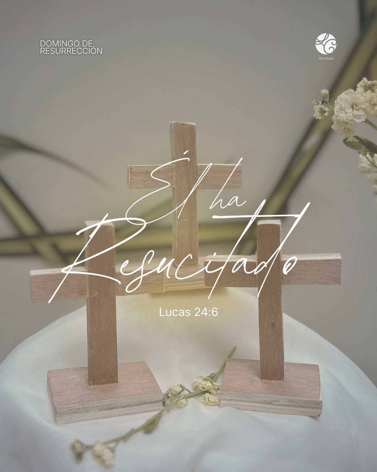 ¡Jesús ha resucitado! 
¿Por qué buscan entre los muertos al que vive? No está aquí, sino que ha resucitado 
‭‭Lucas‬ ‭24‬:‭5‬-‭6‬